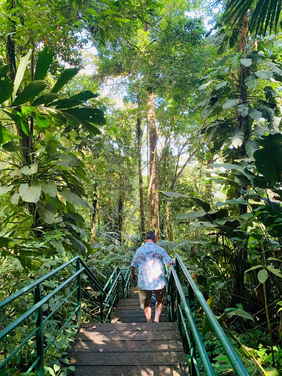 Tortuguero WhatsApp Image 2025-12-06 at 11.40.49 AM (1)